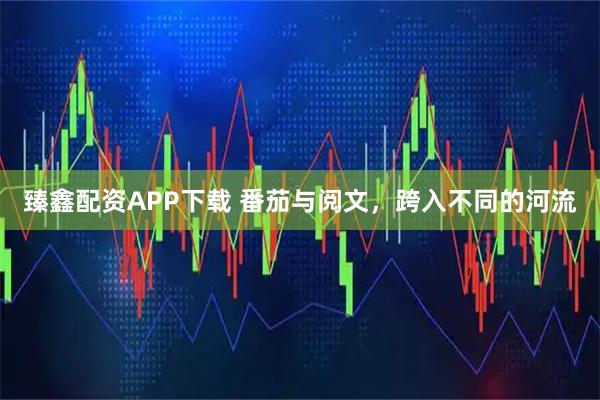 臻鑫配资APP下载 番茄与阅文，跨入不同的河流