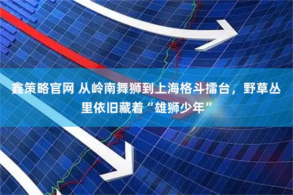 鑫策略官网 从岭南舞狮到上海格斗擂台，野草丛里依旧藏着“雄狮少年”