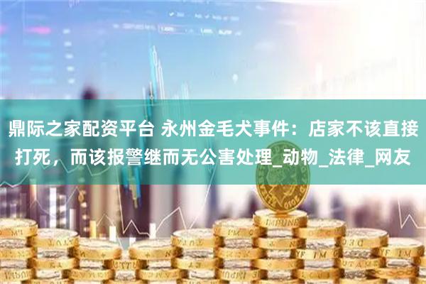 鼎际之家配资平台 永州金毛犬事件：店家不该直接打死，而该报警继而无公害处理_动物_法律_网友