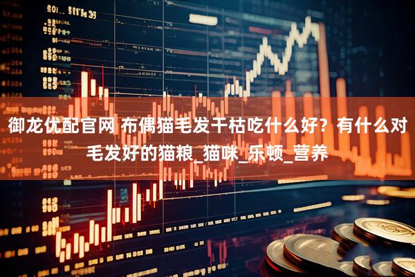 御龙优配官网 布偶猫毛发干枯吃什么好？有什么对毛发好的猫粮_猫咪_乐顿_营养