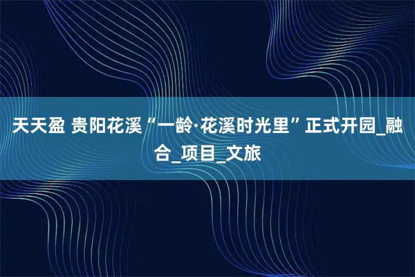 天天盈 贵阳花溪“一龄·花溪时光里”正式开园_融合_项目_文旅